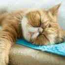 王巍的个人资料头像