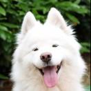 阿鱼的个人资料头像