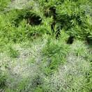 毛竹的个人资料头像