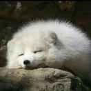 Q重名了40329的个人资料头像