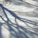 海同学40330的个人资料头像