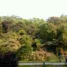 练志光的个人资料头像