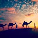 _重名了40339的个人资料头像