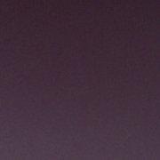 4腿回去的个人资料头像