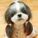 jww的个人资料头像