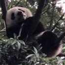 gy爱学习的个人资料头像