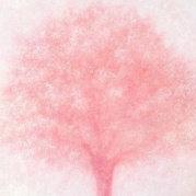 大海捞月的个人资料头像