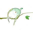 言一本尊的个人资料头像