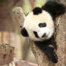 Y的个人资料头像