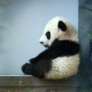 undefined的个人资料头像