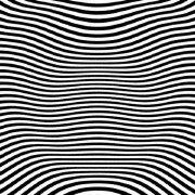 SN7的个人资料头像