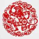 剑成的个人资料头像