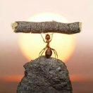 你的背影的个人资料头像