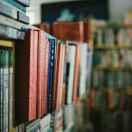 Yang君40607的个人资料头像