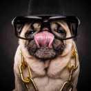 John的个人资料头像