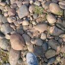 帽帽子的个人资料头像