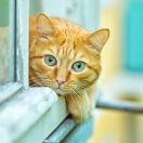 潇潇雨的个人资料头像