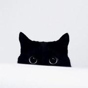 lizhenggan的个人资料头像