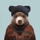 凌斌的个人资料头像