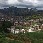 all_wmh的个人资料头像