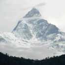 肖恩刘的个人资料头像