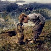 kiterumer的个人资料头像