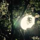 亦随缘的个人资料头像