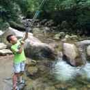 e天下小熊的个人资料头像