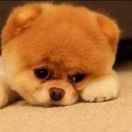 Mael的个人资料头像