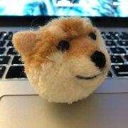 SKNXKAWANEW的个人资料头像