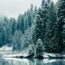 岁月无痕的个人资料头像