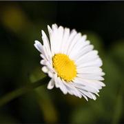 Tablish的个人资料头像