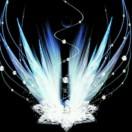 情风的个人资料头像