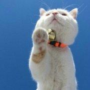 终懂很多的个人资料头像