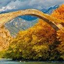 中国阿甘的个人资料头像