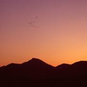 飞燕黄沙的个人资料头像