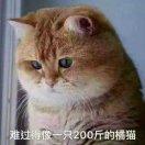 转动未来的个人资料头像