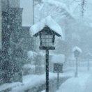 shanwn的个人资料头像