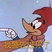 xinlangtadada的个人资料头像