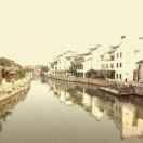 阿智君41263的个人资料头像