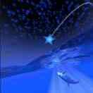 魏禹的个人资料头像