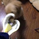 得无杜的个人资料头像