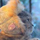 梦尽头的个人资料头像