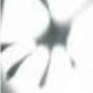 Mark同志41354的个人资料头像