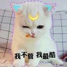 zyy就是我41360的个人资料头像
