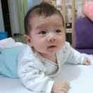 maschzh在掘金的个人资料头像