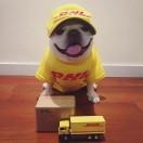 白羊的个人资料头像