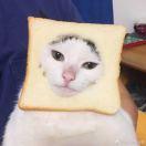 路该这么走的个人资料头像