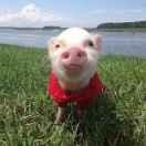 QQ糖41409的个人资料头像