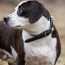 小如不想说话的个人资料头像